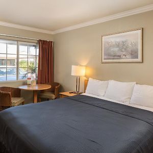 Harbor Motel
